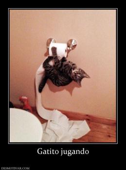 Gatito jugando