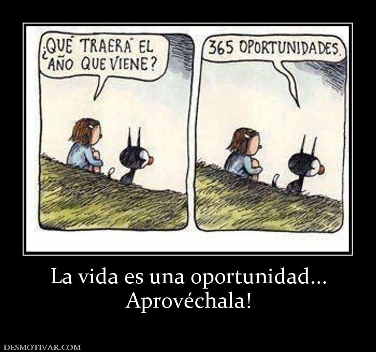 La vida es una oportunidad... Aprovéchala!