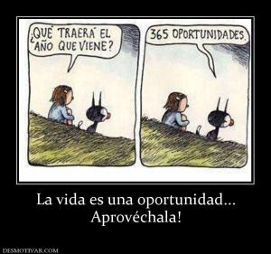 La vida es una oportunidad... Aprovéchala!