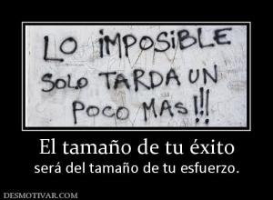 El tamaño de tu éxito será del tamaño de tu esfuerzo.