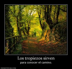 Los tropiezos sirven para conocer el camino.