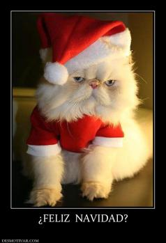 ¿FELIZ  NAVIDAD?