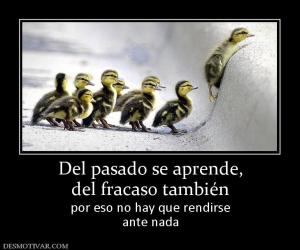 Del pasado se aprende, del fracaso también por eso no hay que rendirse ante nada