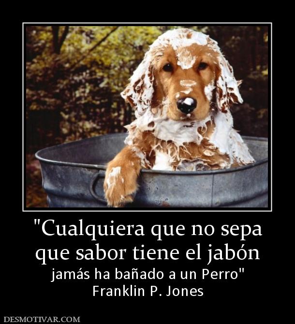 que sabor tiene el jabón jamás ha bañado a un Perro Franklin P. Jones