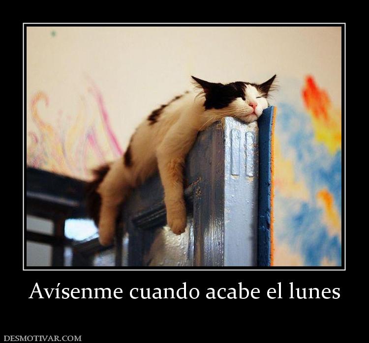 Avísenme cuando acabe el lunes