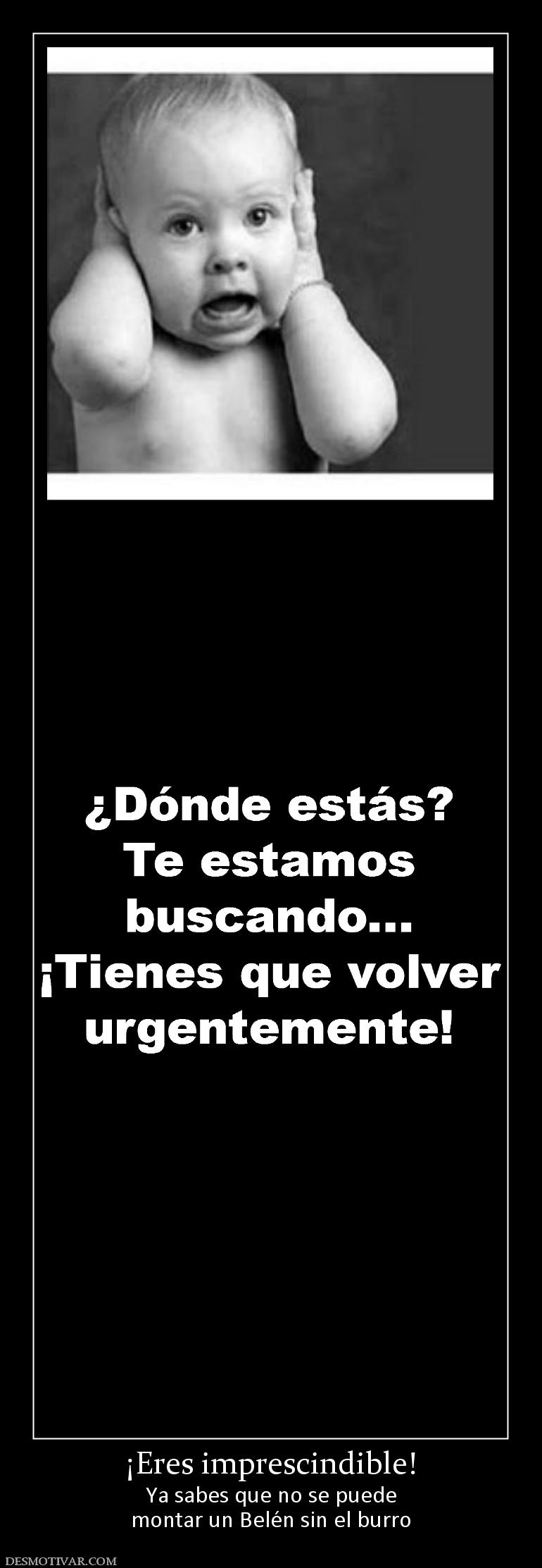 ¡Eres imprescindible! Ya sabes que no se puede montar un Belén sin el burro