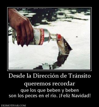 Desde la Dirección de Tránsito queremos recordar que los que beben y beben son los peces en el río. ¡Feliz Navidad!