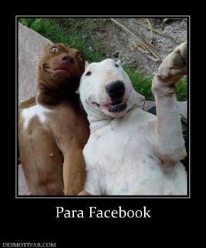 Para Facebook