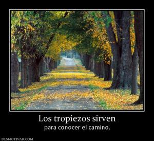 Los tropiezos sirven para conocer el camino.