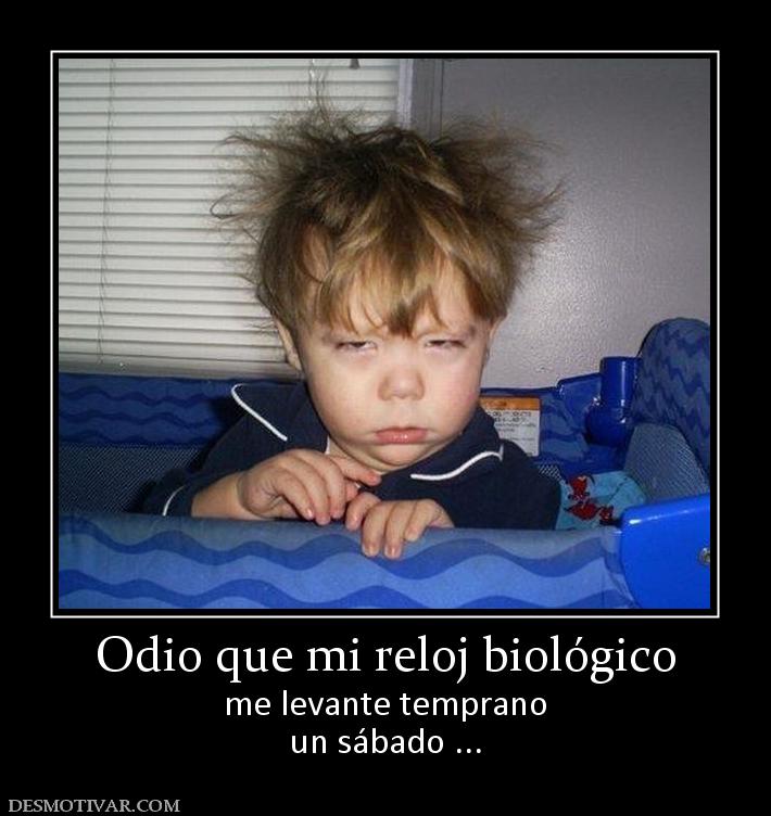 Odio que mi reloj biológico me levante temprano un sábado ...