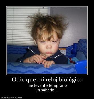 Odio que mi reloj biológico me levante temprano un sábado ...