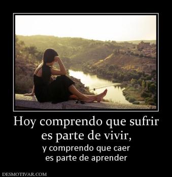 Hoy comprendo que sufrir es parte de vivir,  y comprendo que caer es parte de aprender