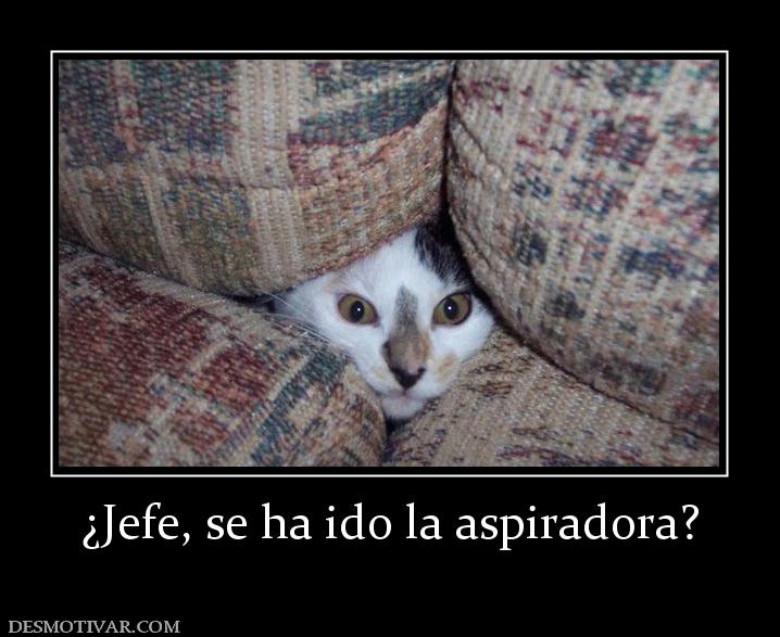 ¿Jefe, se ha ido la aspiradora?