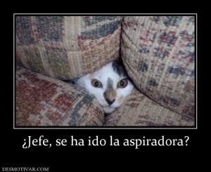 ¿Jefe, se ha ido la aspiradora?