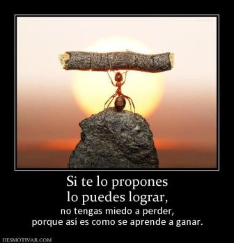 Si te lo propones lo puedes lograr, no tengas miedo a perder, porque así es como se aprende a ganar.