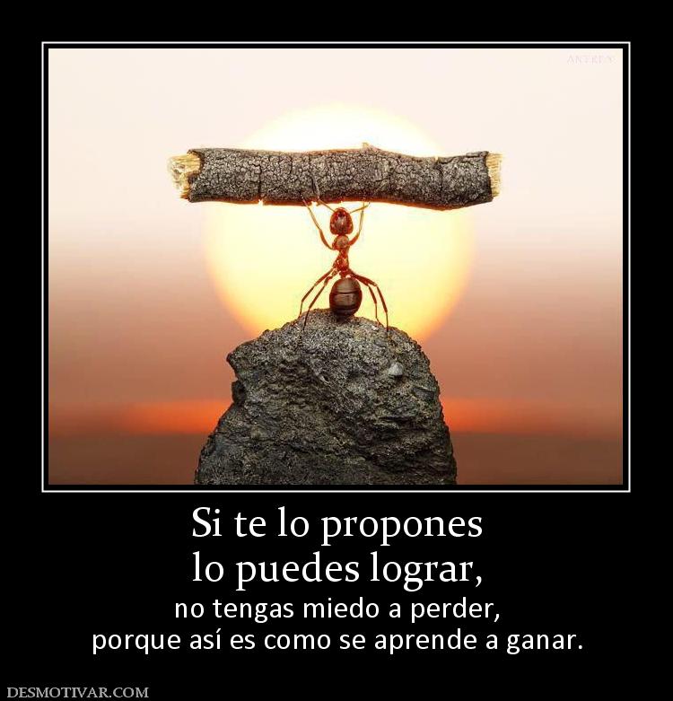 Si te lo propones lo puedes lograr, no tengas miedo a perder, porque así es como se aprende a ganar.