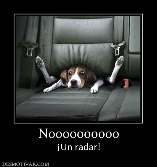 Noooooooooo ¡Un radar!