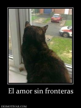 El amor sin fronteras