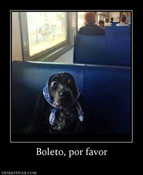 Boleto, por favor