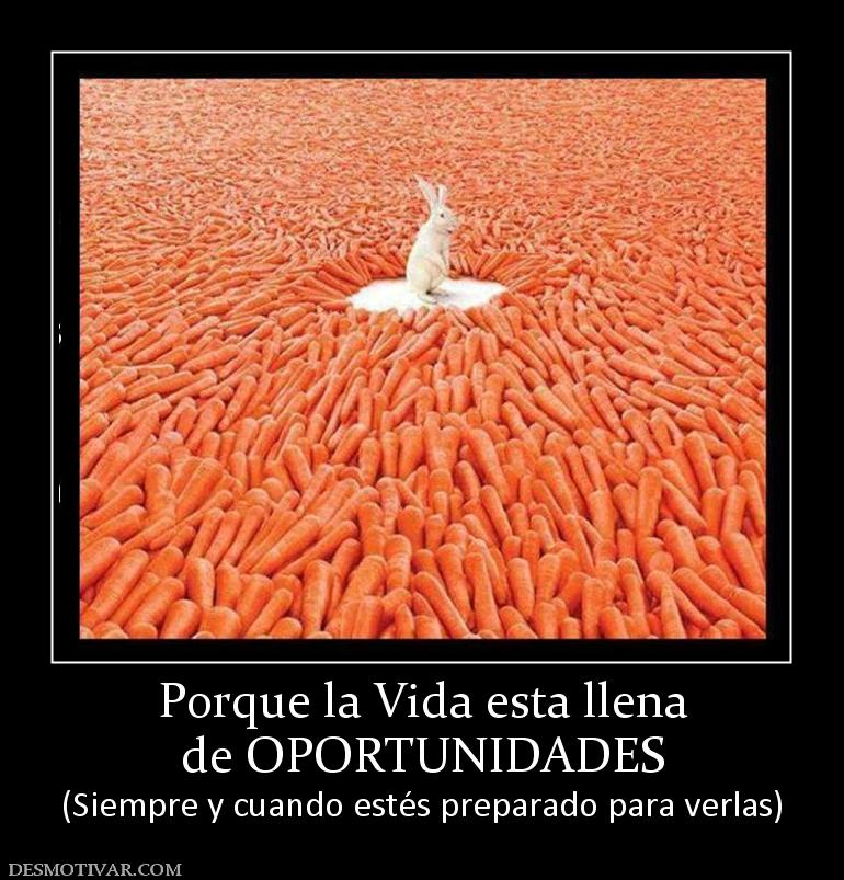 Porque la Vida esta llena de OPORTUNIDADES (Siempre y cuando estés preparado para verlas)