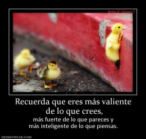 Recuerda que eres más valiente  de lo que crees,  más fuerte de lo que pareces y más inteligente de lo que piensas.