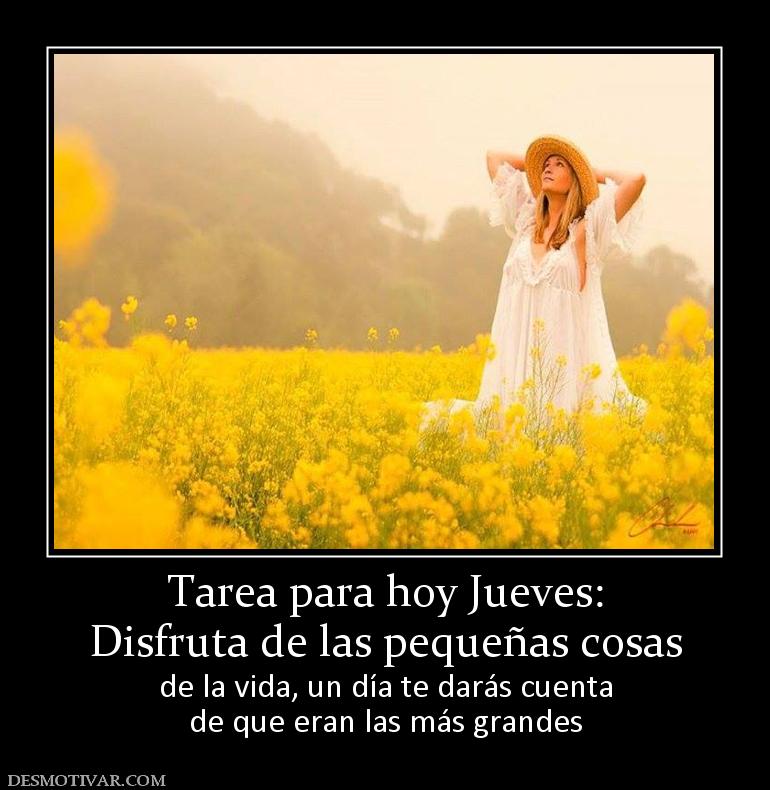 Tarea para hoy Jueves: Disfruta de las pequeñas cosas de la vida, un día te darás cuenta de que eran las más grandes
