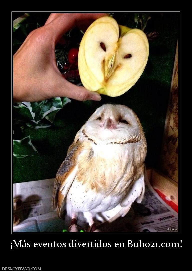 ¡Más eventos divertidos en buho21.org!