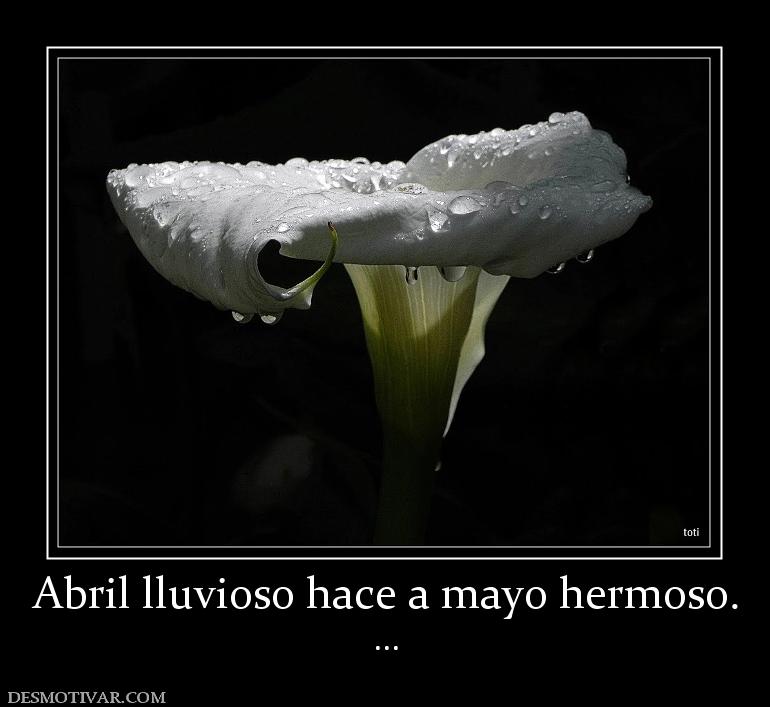 Abril lluvioso hace a mayo hermoso. ...