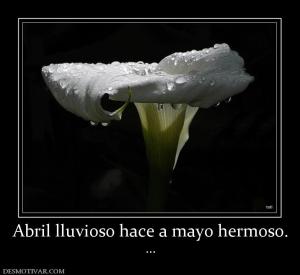 Abril lluvioso hace a mayo hermoso. ...