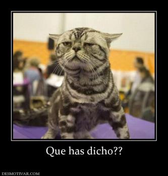 Que has dicho??