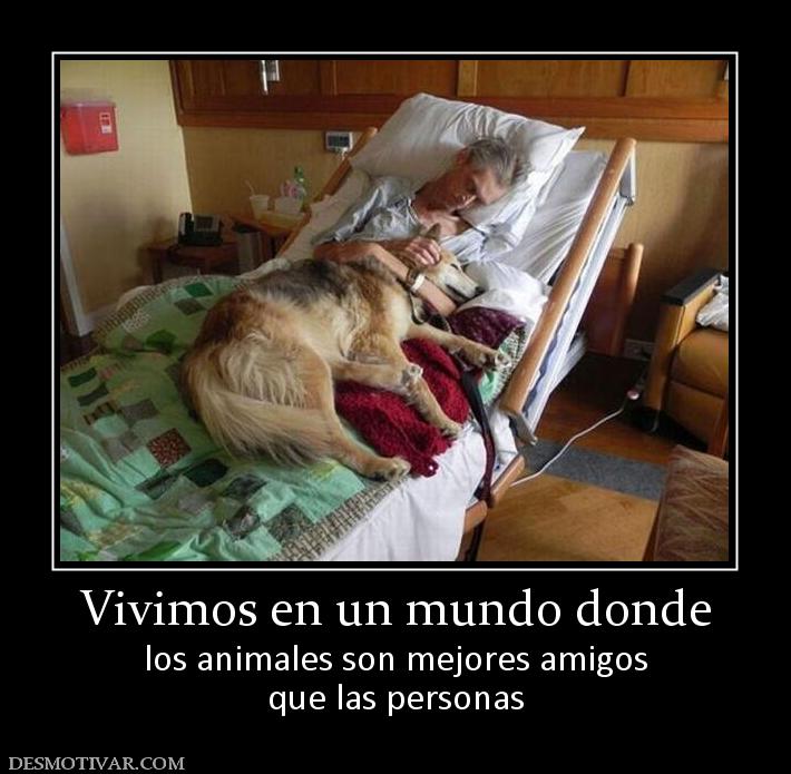 Vivimos en un mundo donde los animales son mejores amigos que las personas