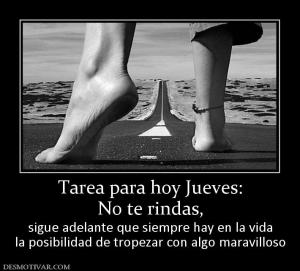 Tarea para hoy Jueves: No te rindas, sigue adelante que siempre hay en la vida la posibilidad de tropezar con algo maravilloso
