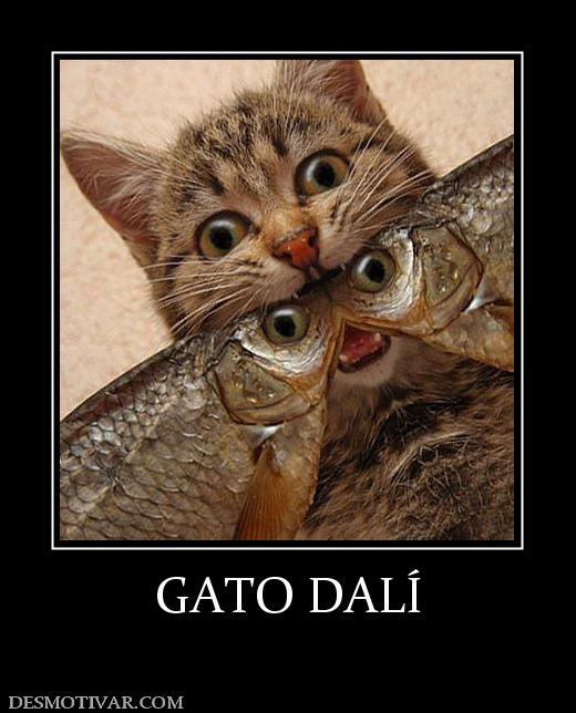 GATO DALÍ