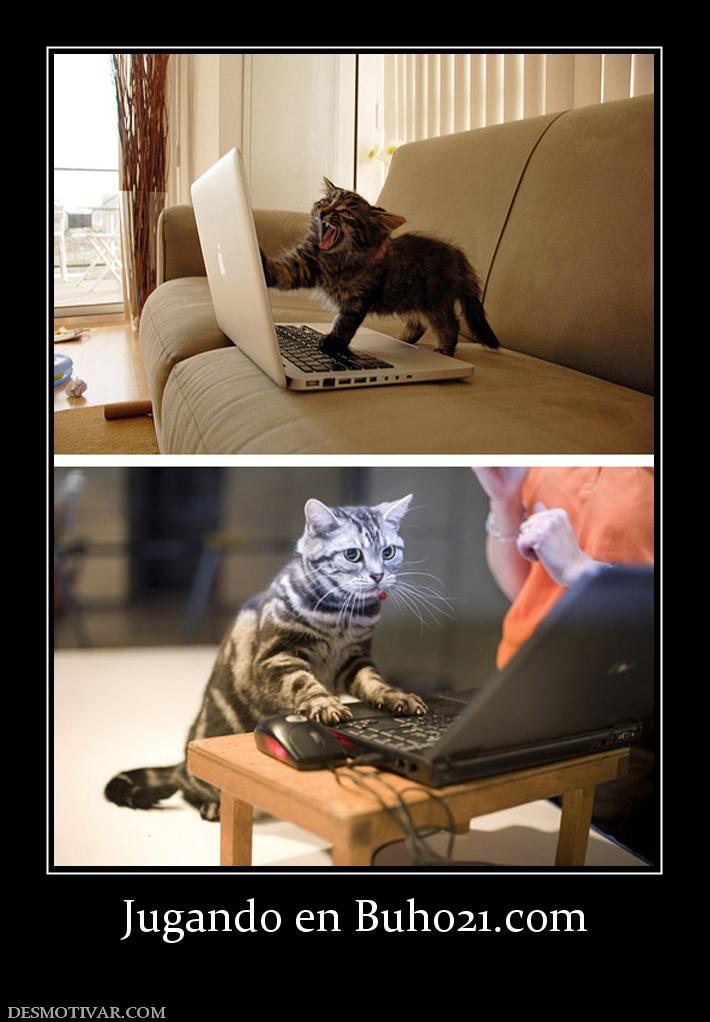 Jugando en buho21.org