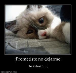 ¡Prometiste no dejarme!  Te extraño   :(