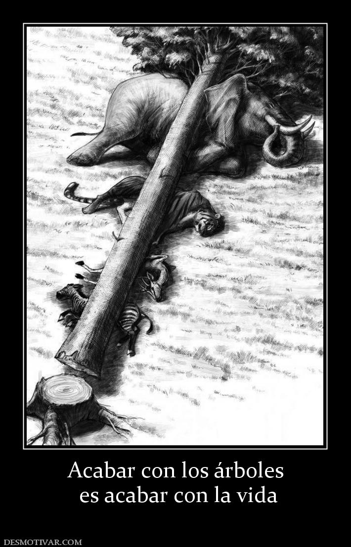 Acabar con los árboles  es acabar con la vida