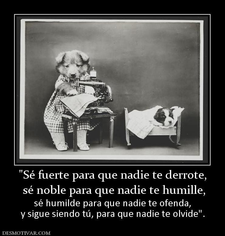 sé noble para que nadie te humille, sé humilde para que nadie te ofenda, y sigue siendo tú, para que nadie te olvide
