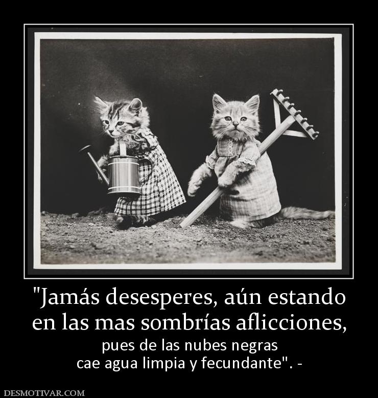 en las mas sombrías aflicciones,  pues de las nubes negras cae agua limpia y fecundante