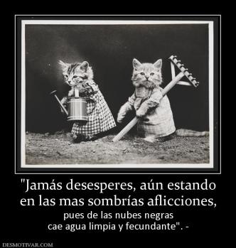 en las mas sombrías aflicciones,  pues de las nubes negras cae agua limpia y fecundante