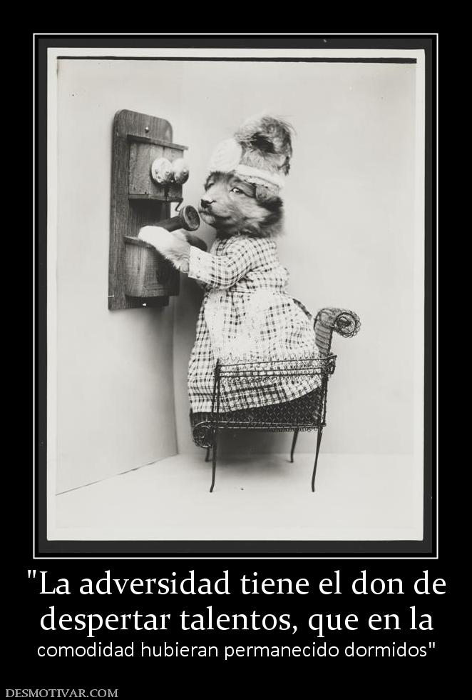 despertar talentos, que en la  comodidad hubieran permanecido dormidos