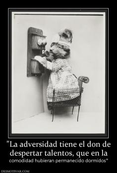 despertar talentos, que en la  comodidad hubieran permanecido dormidos