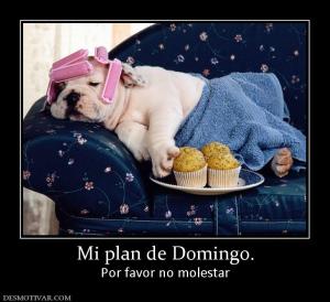 Mi plan de Domingo. Por favor no molestar
