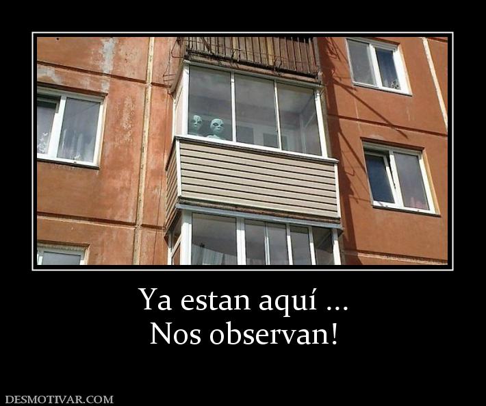 Ya estan aquí ... Nos observan!