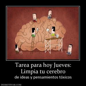 Tarea para hoy Jueves: Limpia tu cerebro de ideas y pensamientos tóxicos