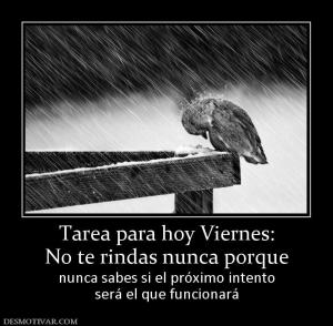Tarea para hoy Viernes: No te rindas nunca porque nunca sabes si el próximo intento será el que funcionará