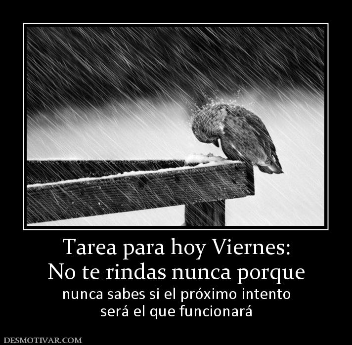 Tarea para hoy Viernes: No te rindas nunca porque nunca sabes si el próximo intento será el que funcionará