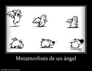 Metamorfosis de un ángel