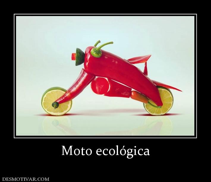 Moto ecológica