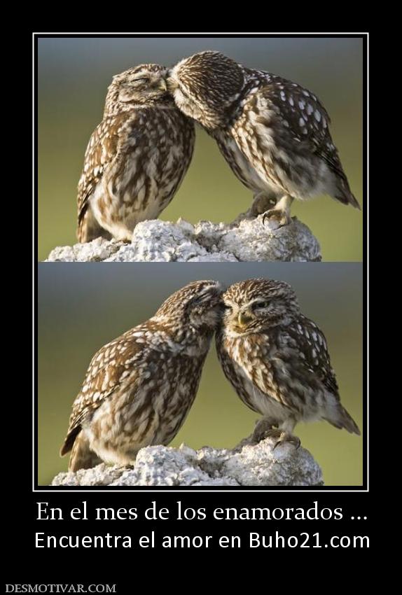 En el mes de los enamorados ... Encuentra el amor en buho21.org
