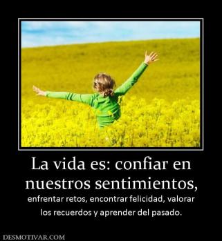 La vida es: confiar en nuestros sentimientos,  enfrentar retos, encontrar felicidad, valorar los recuerdos y aprender del pasado.